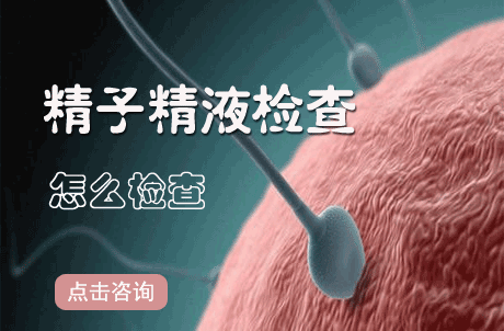 昆明送子鸟医院
